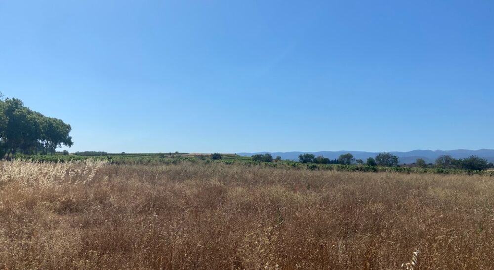 vente Terrain - 400 m² Olonzac (34210)