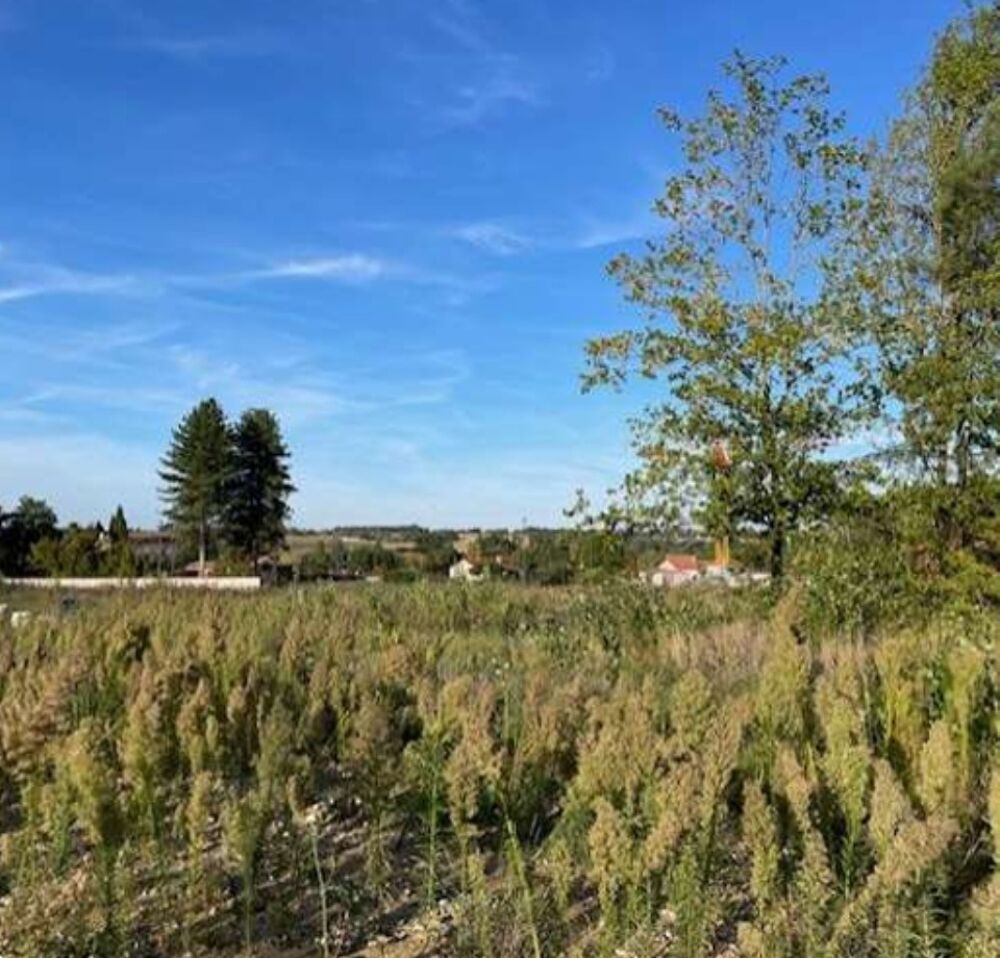 Le modèle ZEPHYR 87 m² est une maison aux lignes sobres ....