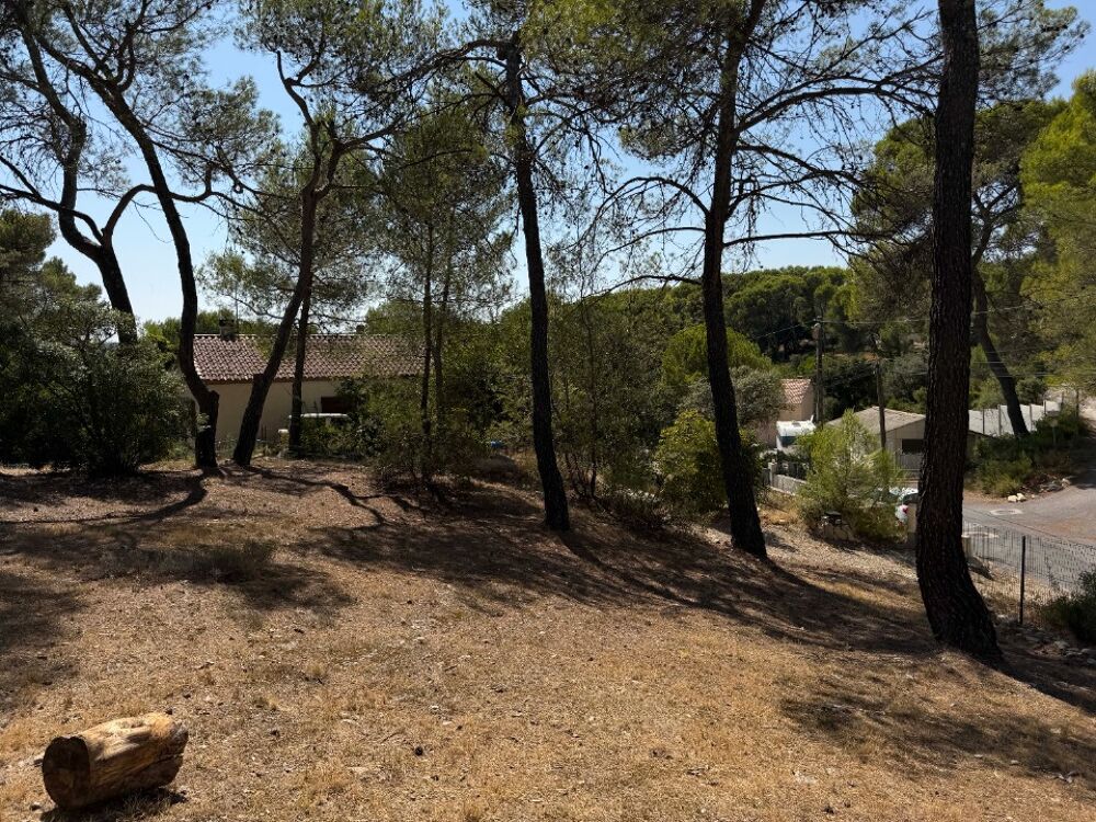 vente Terrain - 535 m² Saint-Bauzille-de-Montmel (34160)