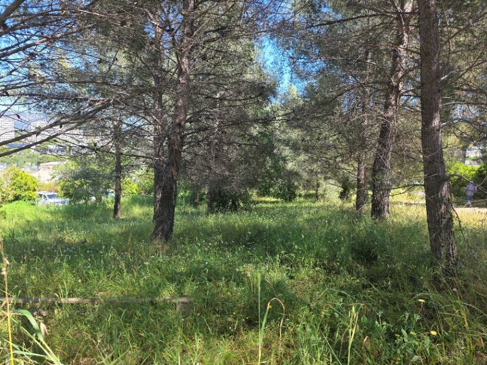 vente Terrain - 700 m² La Seyne-sur-Mer (83500)