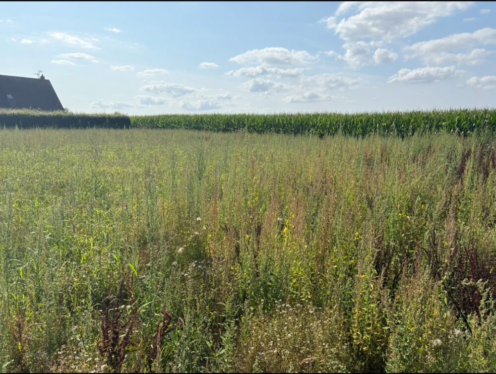 vente Maison - 3 pièce(s) - 99 m² Ancretiéville-Saint-Victor (76760)