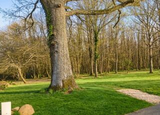  Terrain � vendre 9500 m�