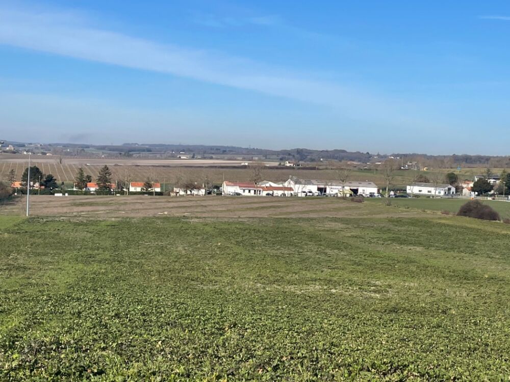 vente Terrain - 606 m� Mirambeau (17150)