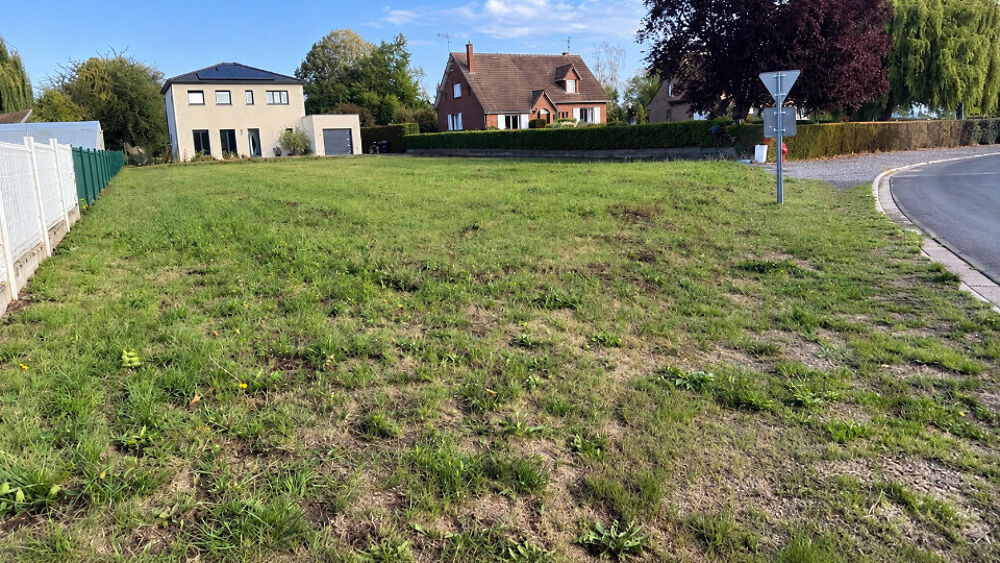 vente Terrain - 87500 m² Flines-lez-Raches (59148)