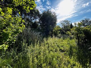  Terrain à vendre 1000 m²