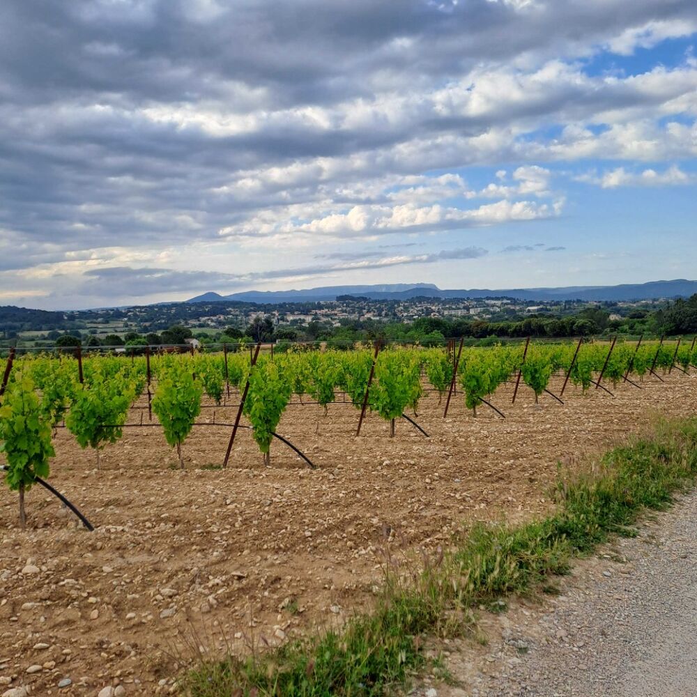 vente Maison - 6 pièce(s) - 130 m² Rousset (13790)