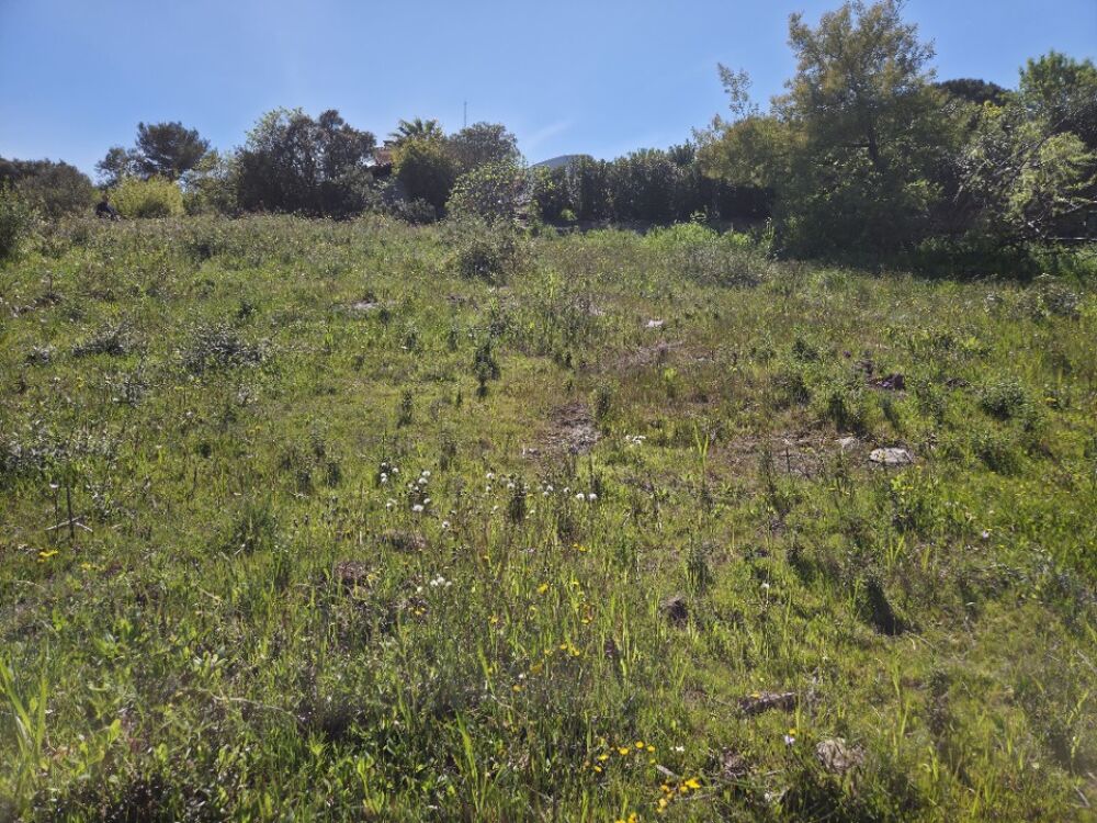vente Maison - 6 pièce(s) - 130 m² Roquebrune-sur-Argens (83520)