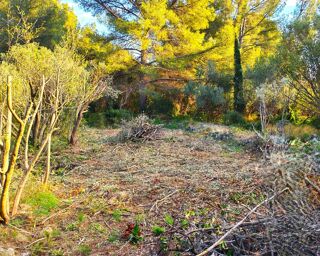  Terrain à vendre 442 m²