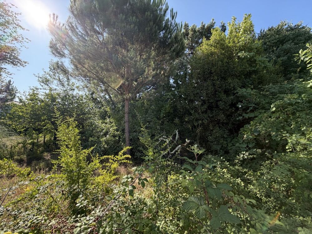 vente Maison - 4 pièce(s) - 100 m² Le Taillan-Médoc (33320)