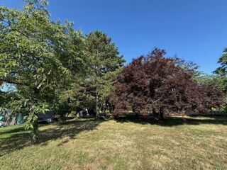  Terrain 965 m� Monts