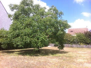 vente Maison - 8 pièce(s) - 175 m² Bougival (78380)