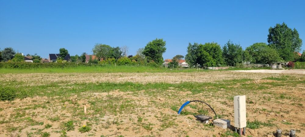 vente Terrain - 515 m² Coulogne (62137)