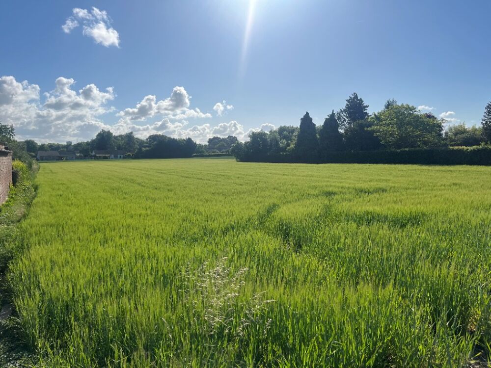 vente Maison - 4 pièce(s) - 90 m² Labourse (62113)
