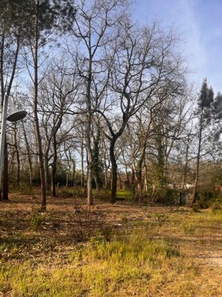  Terrain � vendre 1000 m�