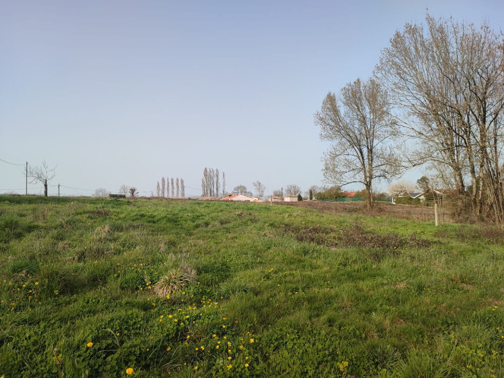vente Terrain - 1700 m² Daignac (33420)