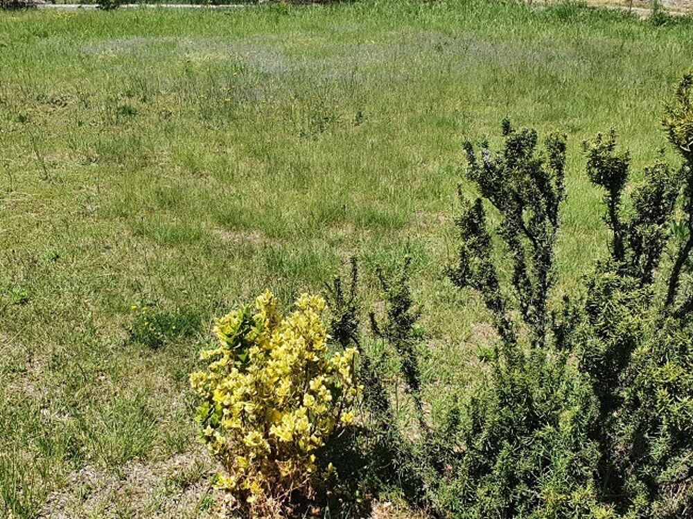 vente Maison - 4 pi�ce(s) - 125 m� Villelongue-dels-Monts (66740)