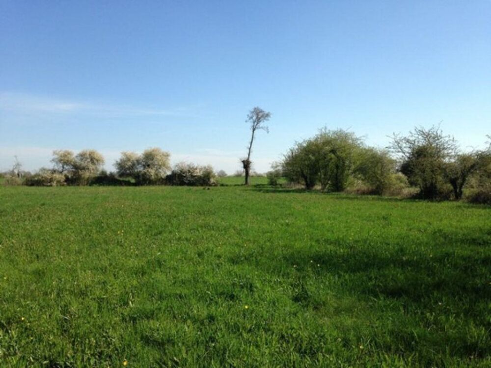 vente Terrain - 520 m² Chinon (37500)