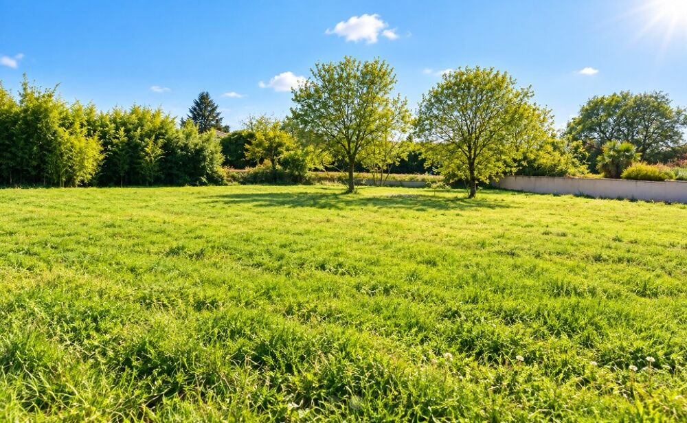 vente Maison - 4 pièce(s) - 85 m² Saussines (34160)