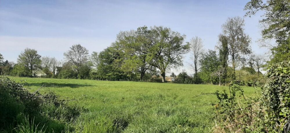 vente Terrain - 363 m² Savigné-l'Évêque (72460)