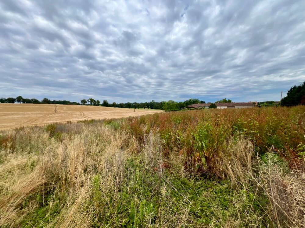 vente Terrain - 600 m² Saint-Martin-le-Châtel (01310)