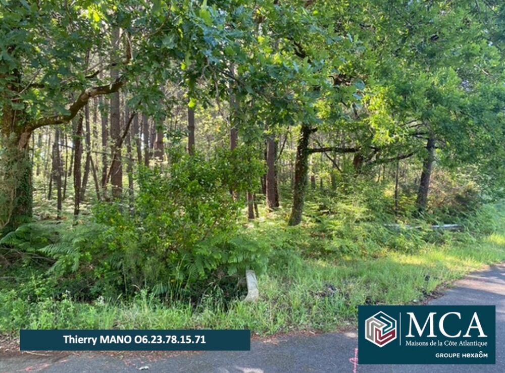 vente Terrain - 627 m² Sanguinet (40460)