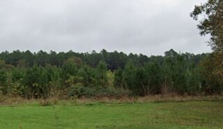  Terrain 516 m� Pr�chac