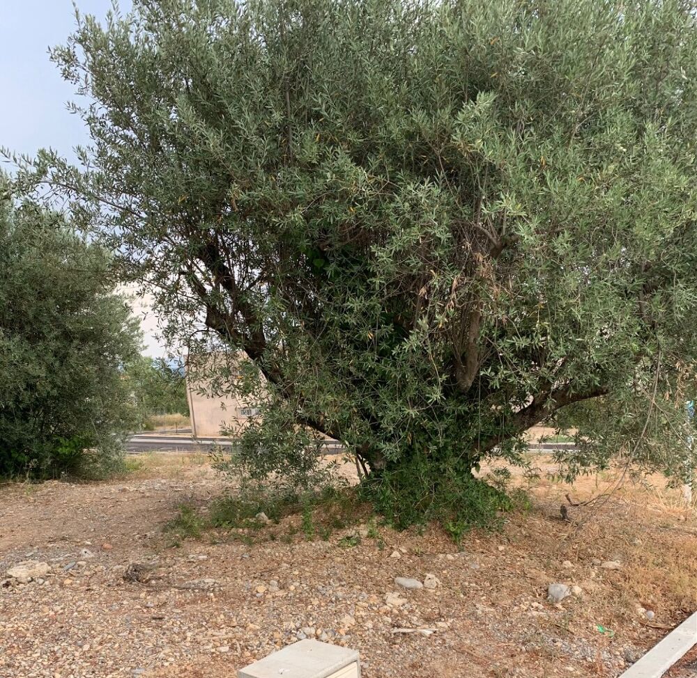 vente Terrain - 414 m² Manosque (04100)