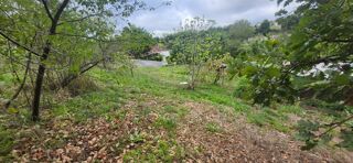  Maison 6 pi�ces 186 m� Puygouzon