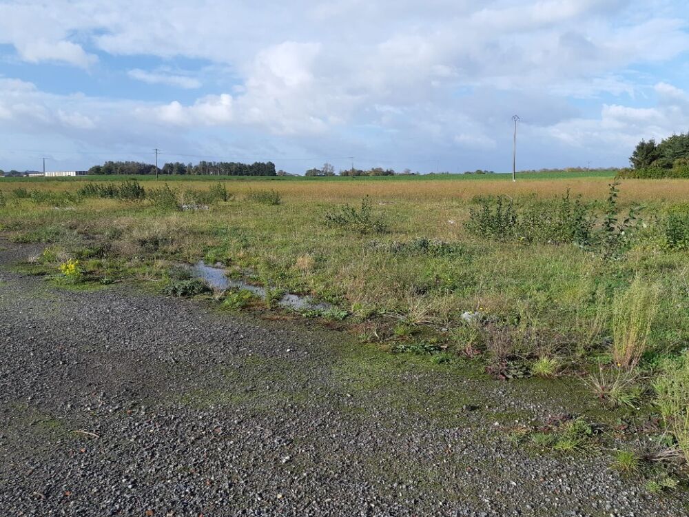 vente Terrain - 230 m� Sains-en-Gohelle (62114)