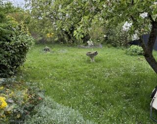  Maison 7 pi�ces 104 m� Solesmes