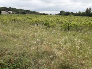  Maison � vendre 6 pi�ces 116 m�