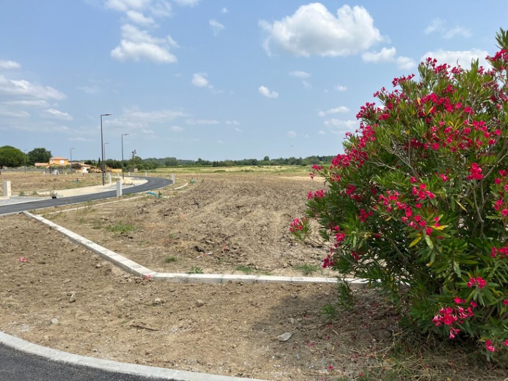 vente Terrain - 1000 m� Villes�quelande (11170)