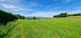  Maison 5 pi�ces 113 m� Sillingy