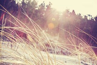  Maison � vendre 4 pi�ces 125 m�