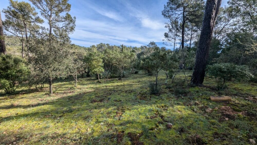 vente Terrain - 1000 m² Garéoult (83136)