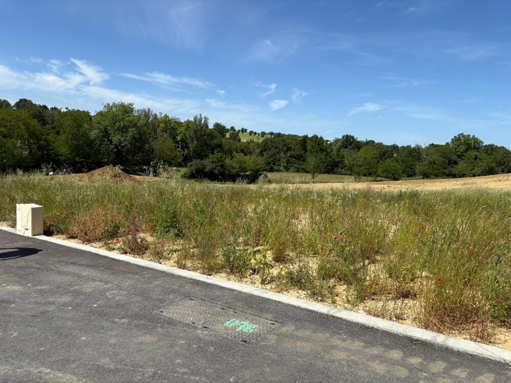 vente Terrain - 983 m² Verfeil (31590)