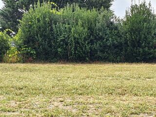  Terrain � vendre 550 m�