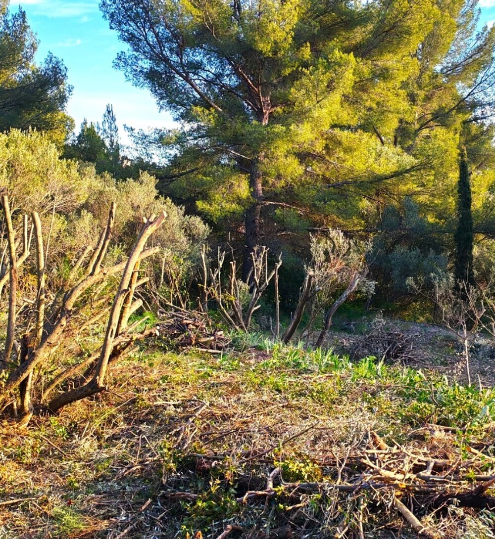 vente Terrain - 442 m² Toulon (83200)