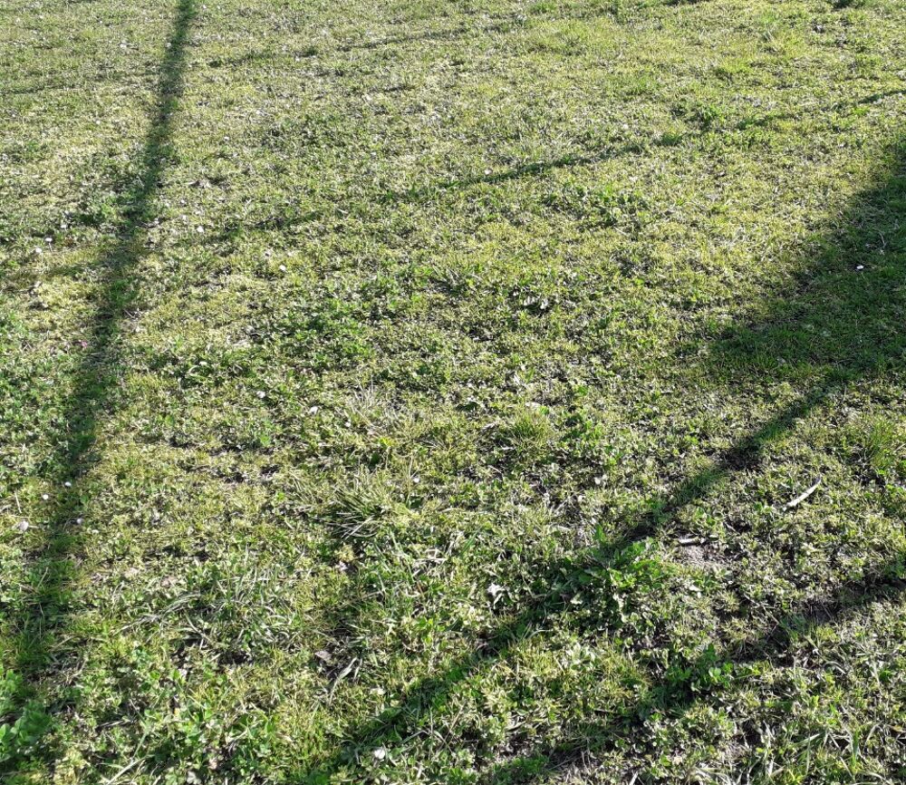 vente Terrain - 1340 m² Farschviller (57450)