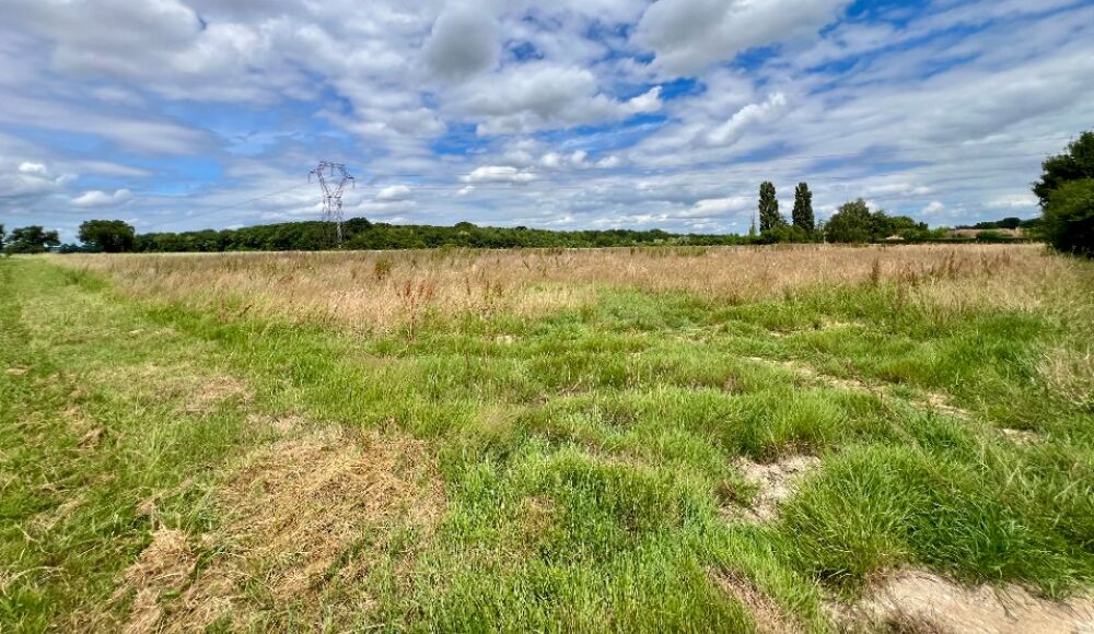 vente Terrain - 861 m² Viré (71260)