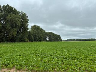  Maison � vendre 6 pi�ces 135 m�