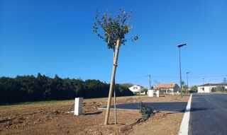  Terrain � vendre 324 m�