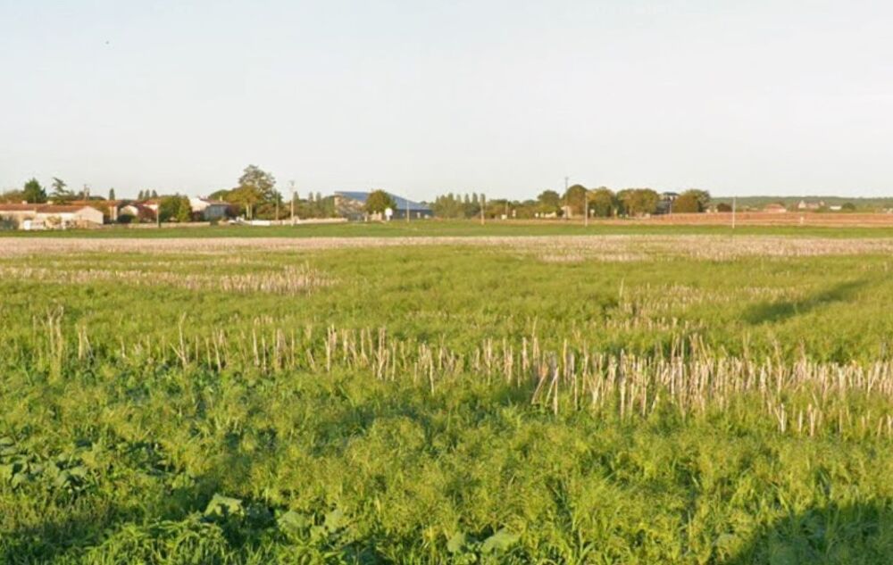 vente Terrain - 1001 m² Le Mung (17350)