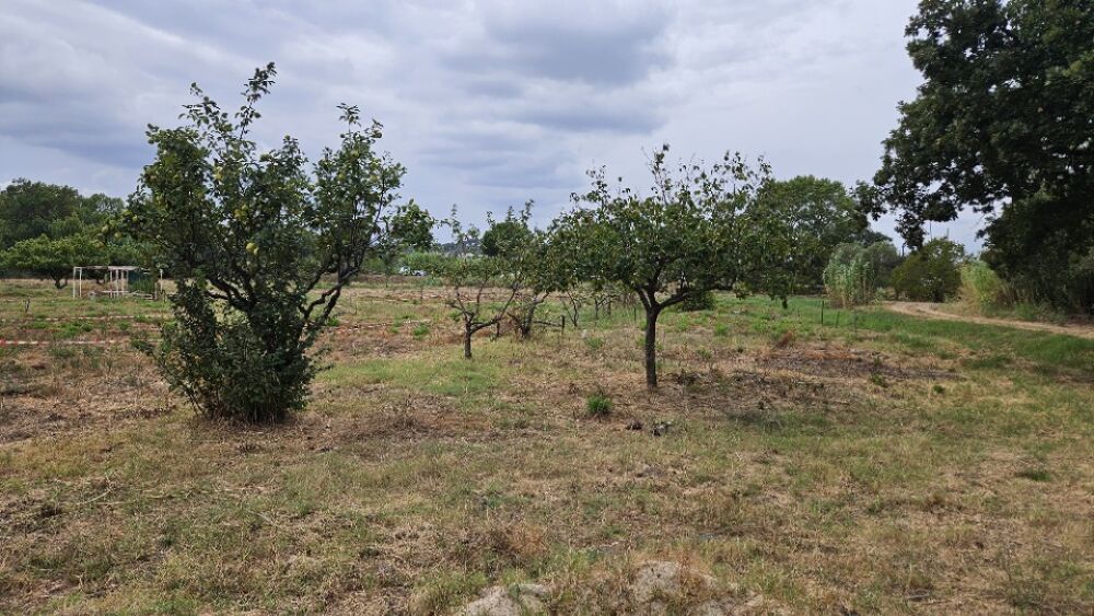 vente Terrain - 415 m² Fréjus (83600)