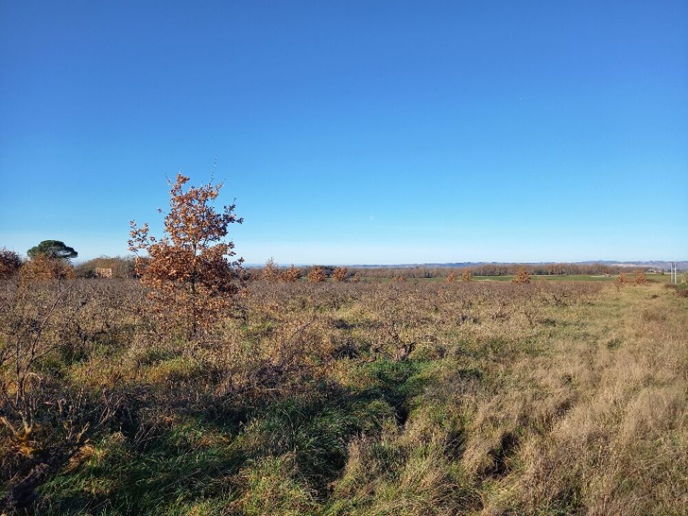 vente Terrain - 845 m² Técou (81600)