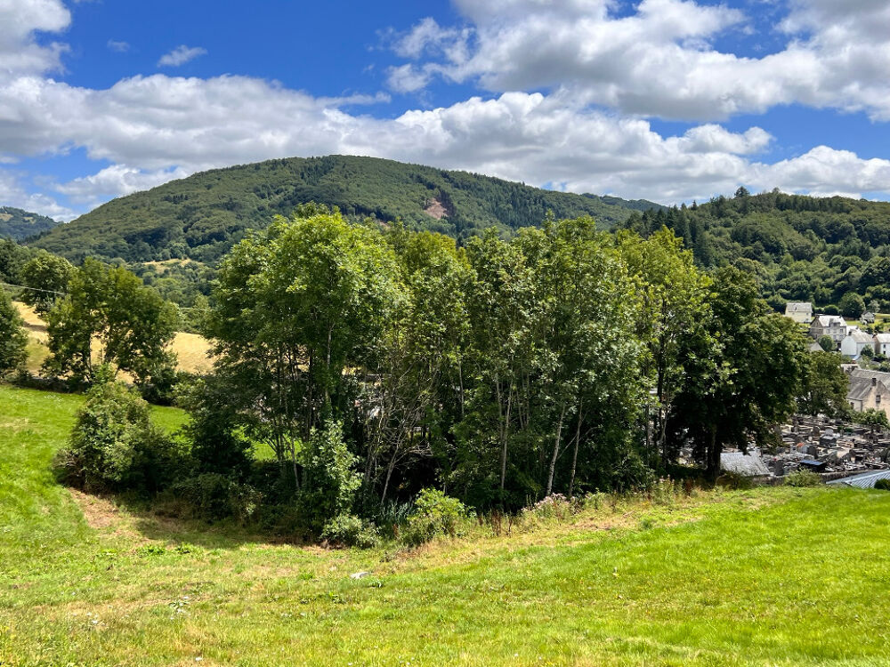 vente Terrain - 645 m² Condat (15190)