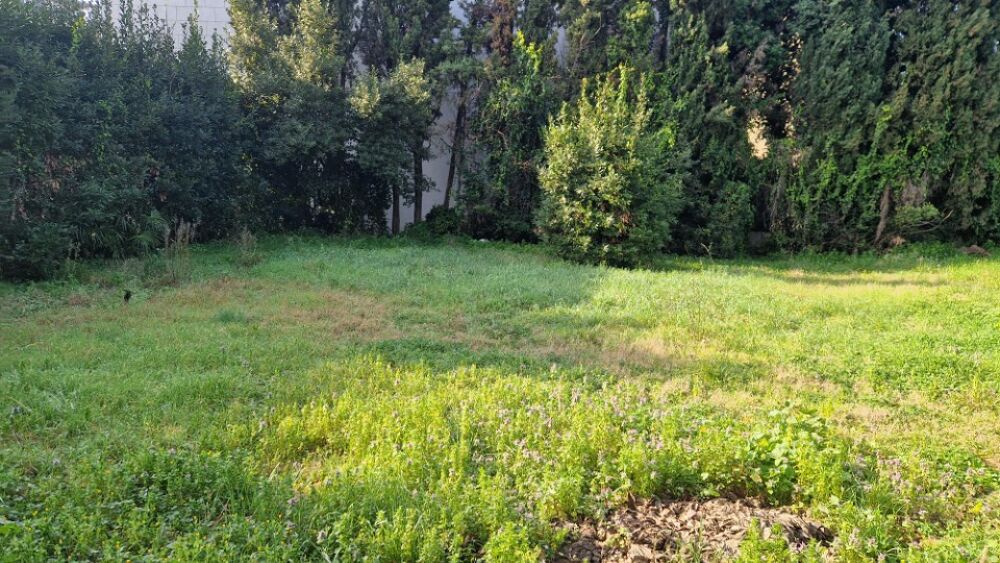 vente Terrain - 1000 m² Mougins (06250)