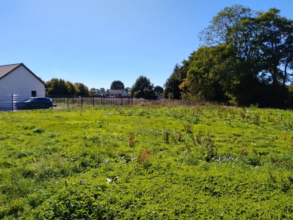 vente Terrain - 1103 m² Mandeville (27370)
