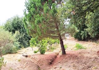  Terrain  vendre 3000 m