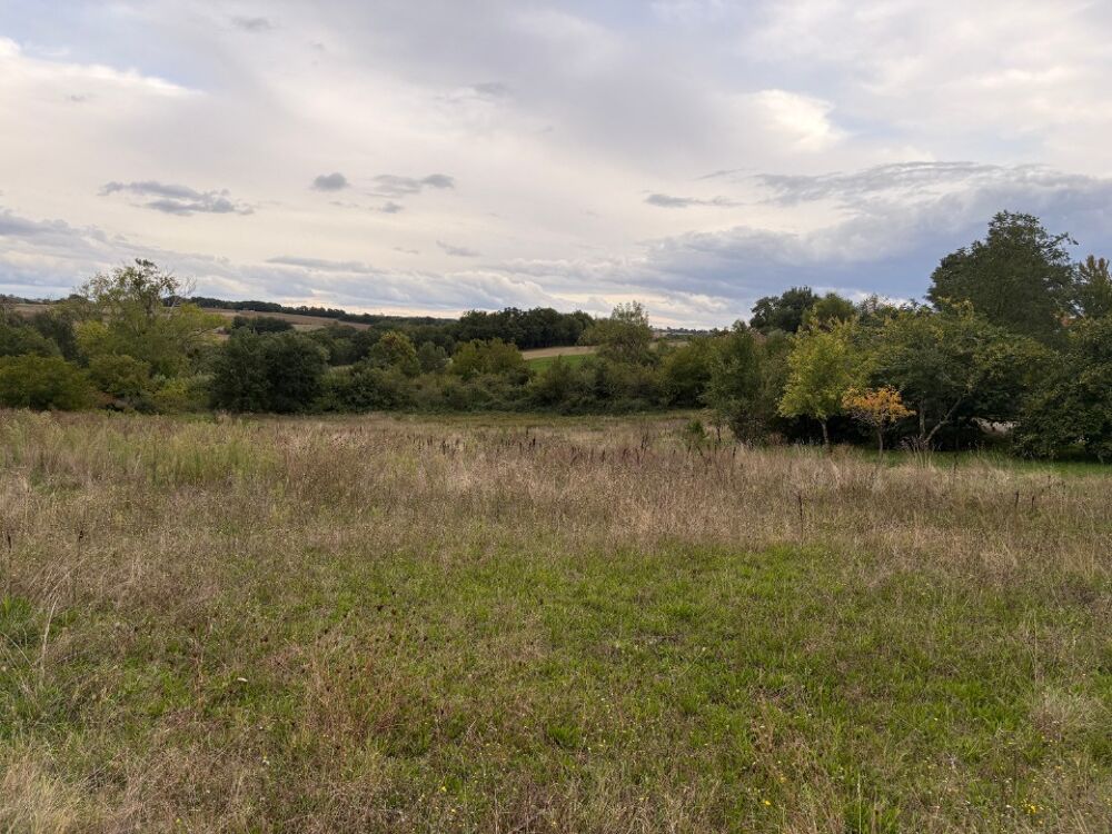 vente Terrain - 400 m² Roquesérière (31380)